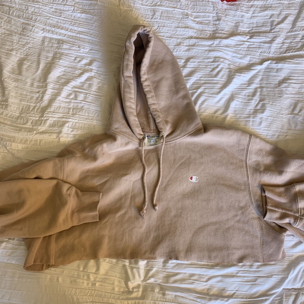 Champion cropped hoodie